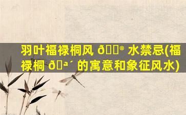 羽叶福禄桐风 💮 水禁忌(福禄桐 🪴 的寓意和象征风水)